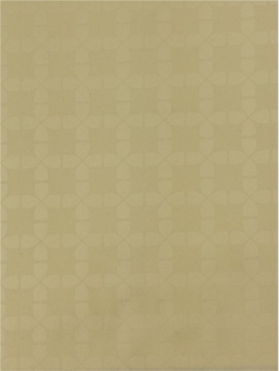 DG-SNSE  LN2003(843)  100％POLYESTER  106G/SQM±5％ 正面照